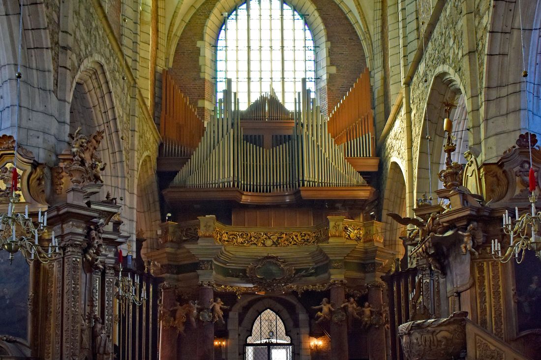 Organy w Bazylice Bożego Ciała w Krakowie - Festiwal Musica Divina