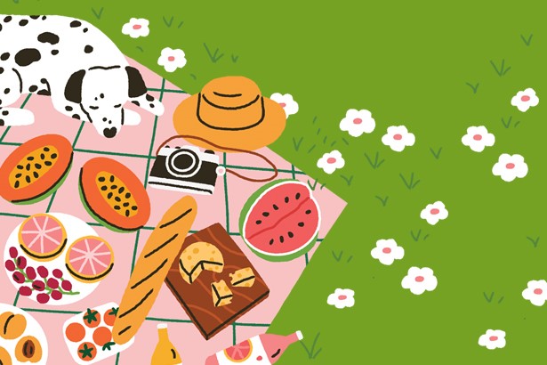 Piknik poetycki w Dworku Białoprądnickim - grafika